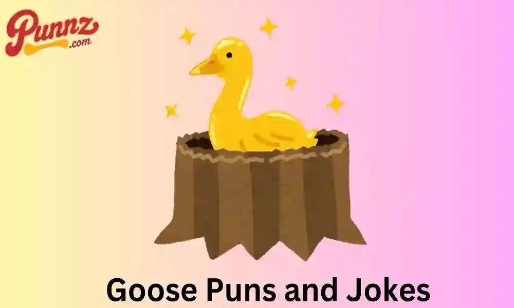 Duck Puns