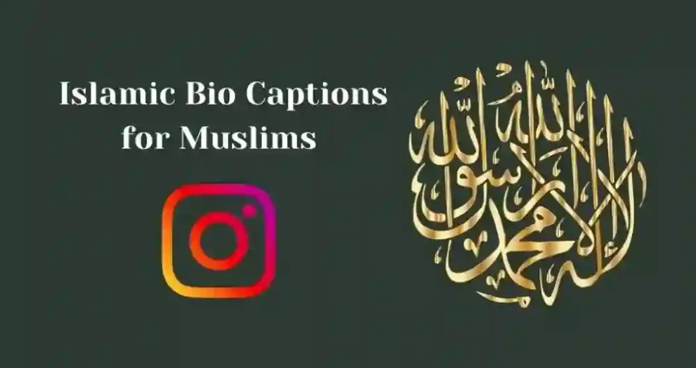 Instagram Bio