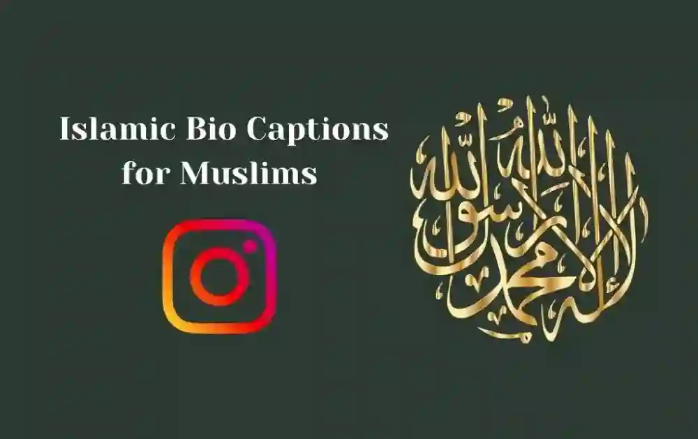 Instagram Bio