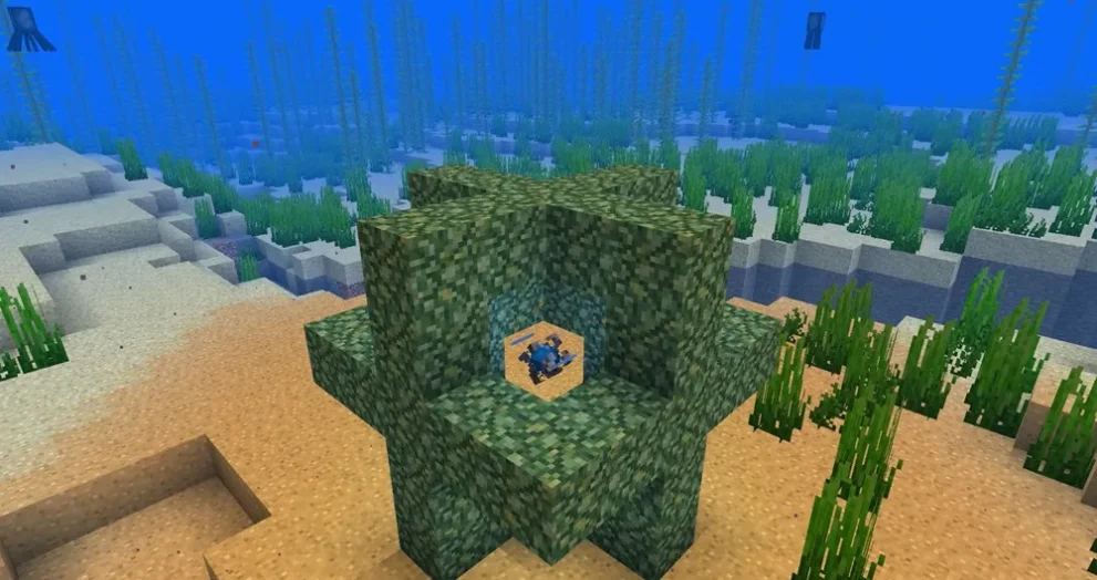 Minecraft Heart of the Sea