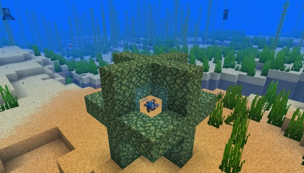 Minecraft Heart of the Sea