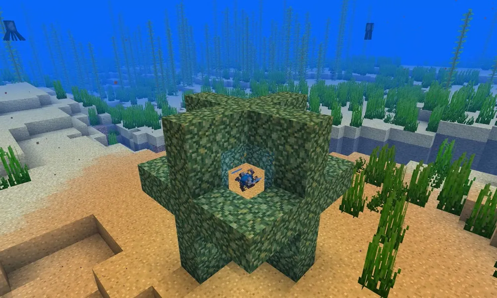 Minecraft Heart of the Sea